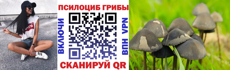Галлюциногенные грибы Magic Shrooms  Чернушка 
