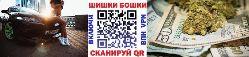 Канабис ГИДРОПОН Чернушка